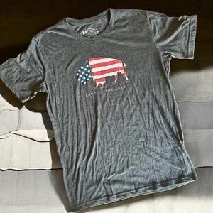 Men's Gray Graphic T-Shirt with American Flag Bison